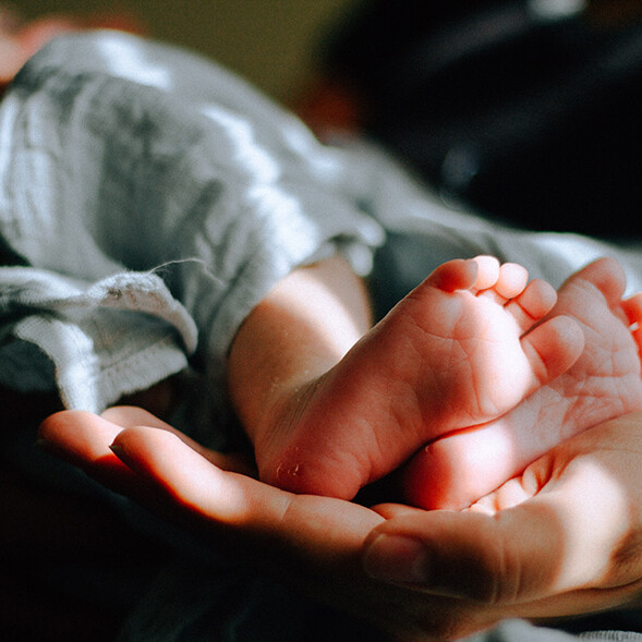 Adoption